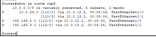 show ip route ospf